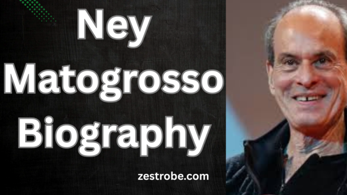 Ney Matogrosso Biography